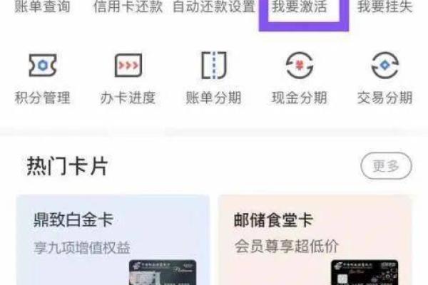 如何快速查询你的信用卡安全码方法与技巧