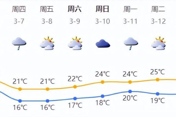 如何快速查询当地天气情况的有效方法