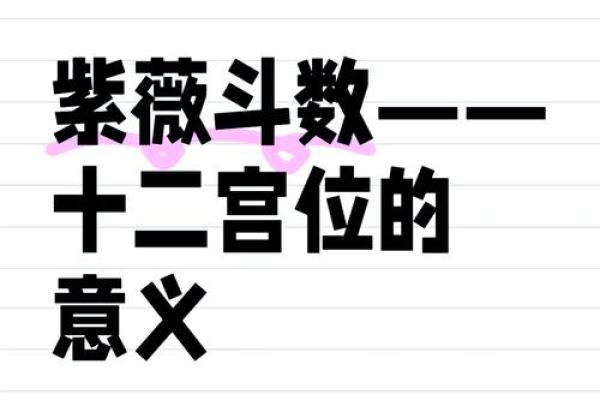 如何通过紫微斗数解读人生运势与未来趋势